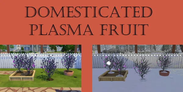 Domesticated Plasma Fruit Harvestable
